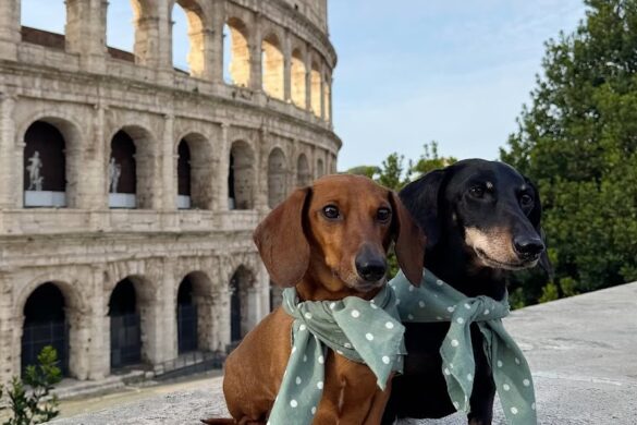 Top Rome Street Food Tour - SillySuitcase
