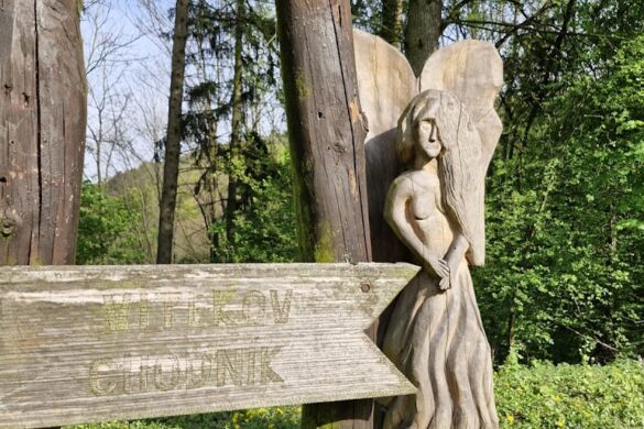 Tmp0Ttoo40Z - SillySuitcase