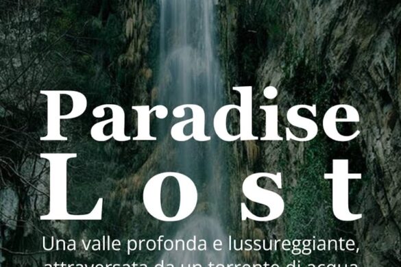 Tmp7 Evi7Us - SillySuitcase