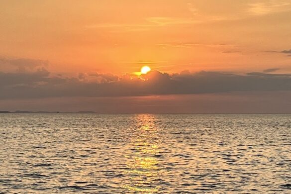 Tmp1M93L Ng - SillySuitcase