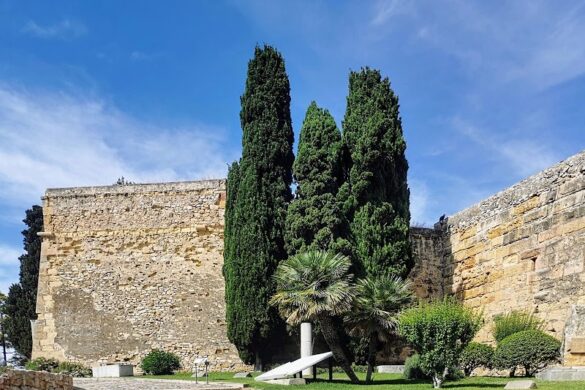 Tmpccb3Paml - SillySuitcase