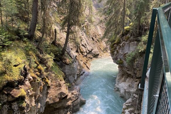 Tmpgtnz595D - SillySuitcase