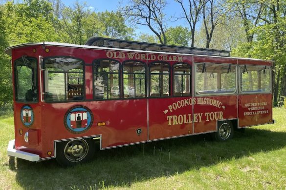 Tmp9F2Ut2 7 - SillySuitcase