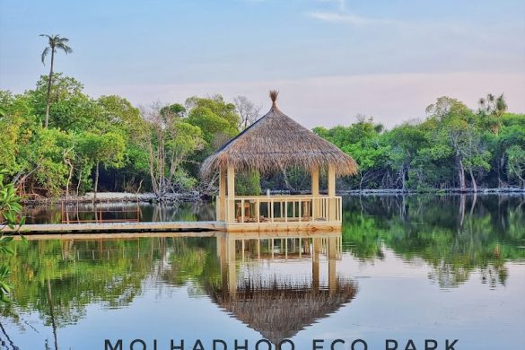 Tmpk1K1Vjbs - SillySuitcase