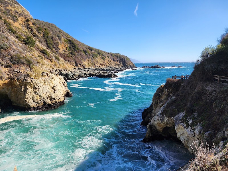 Tmpv59Sh0Ep - SillySuitcase